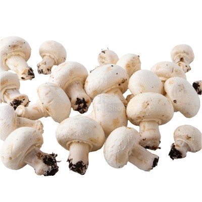Шампиньоны свежие 500 г - купить в Братовщиной